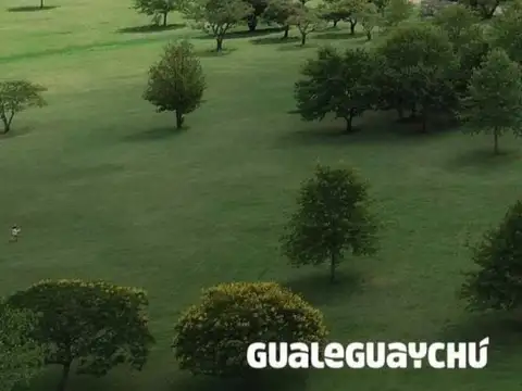 ALQUILER DEPARTAMENTO A PARTIR OCTUBRE 26