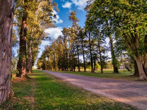 Terreno en Venta en Los Tres Pinos, USD 28.000