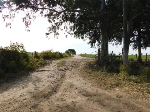 Campo en Venta Agrícola