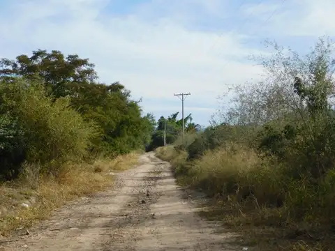 Campo en Venta Agrícola