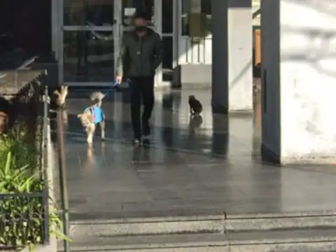 Departamento en Venta Permite mascota