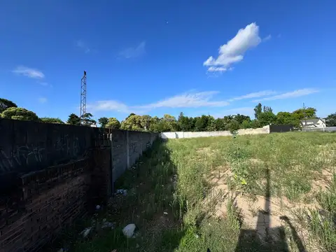 Terreno en Alquiler de 1467,0 m2