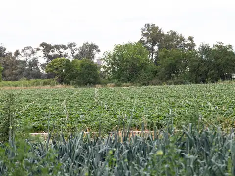 RUTA 193 DE CAPILLA DEL SEÑOR A ZARATE