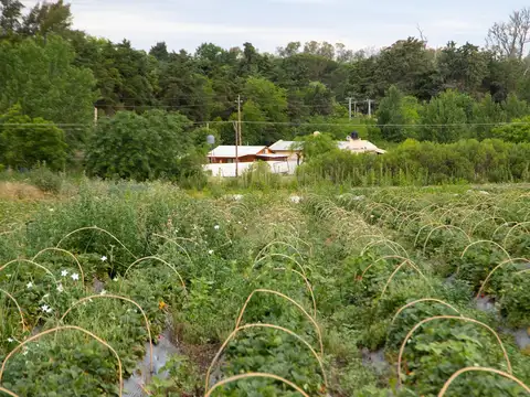 Campo en Venta de 7  ha