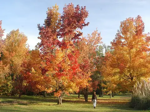 BENQUERENCIA ESPECTACULAR BARRIO DE CHACRAS