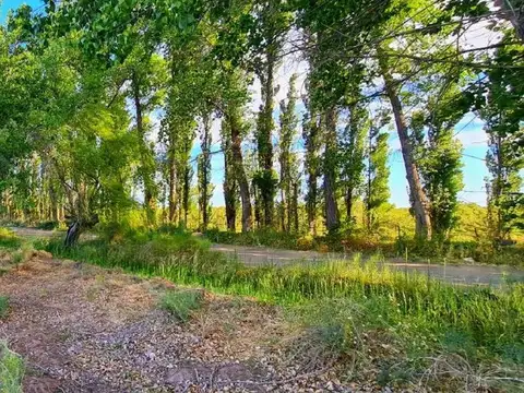 VENTA 9 LOTES EN BLOQUE EN LAS PAREDES, SAN RAFAEL