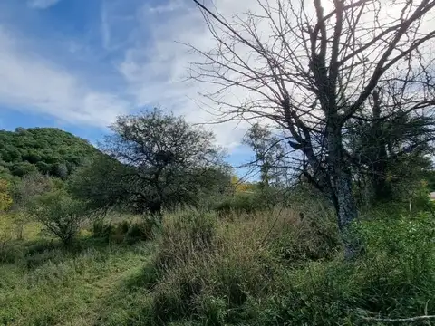 Terreno en Venta de 13000,0 m2