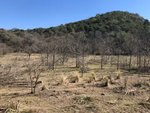 Terreno en Venta de 13000,0 m2