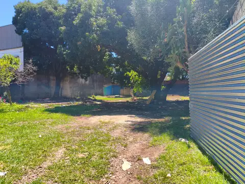 Oportunidad de Inversión: Terreno 595 m² sobre Av. Maipú