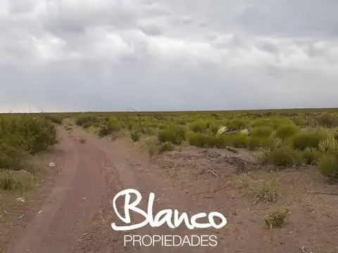 Campo  en Venta en Gobernador Duval, Curaco, La Pampa
