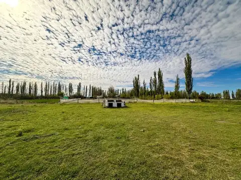 Terreno en Venta de 10000,0 m2