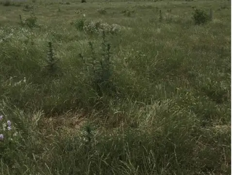 Terreno en Venta de 4500,0 m2