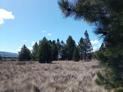 Terrenos en venta barrio Girasoles del Limay