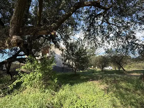 Camino a la Laguna Azul