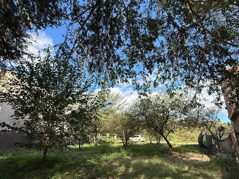 Terreno en Venta 30  mts Fondo
