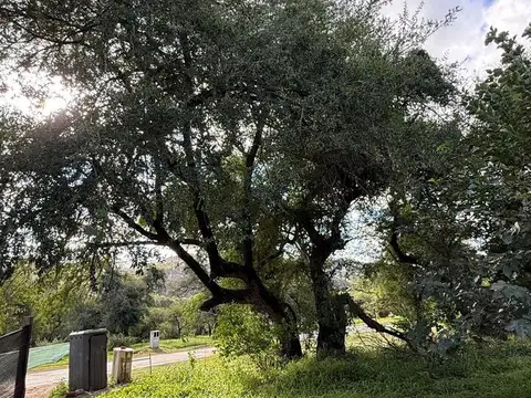 Venta Lote en Maitenes de La Deseada. Ubicación Privilegiada. Escritura. Gas Natural.