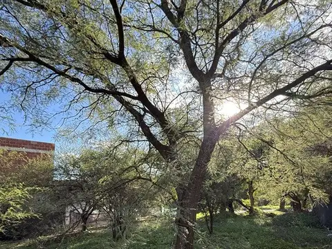 Venta Lote en Maitenes de La Deseada. Ubicación Privilegiada. Escritura. Gas Natural.