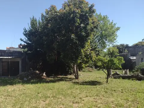 VIRGEN DE LOS ANGELES 1500