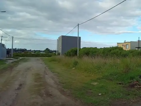 Muñiz