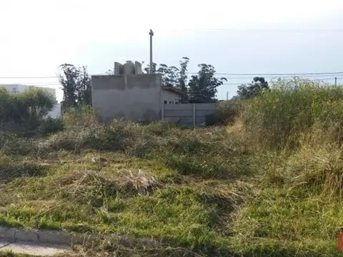 Muñiz