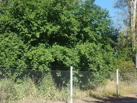 Terreno en Venta de 674,0 m2