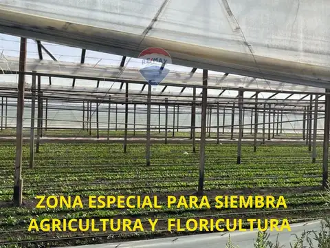 CAMPO EN VENTA 4 HECTARIAS  ABASTO LA PLATA CHACRA