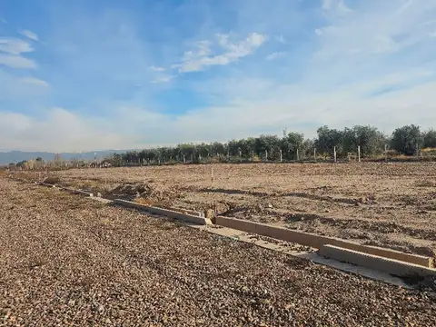 Terreno en Venta en Cruz de Piedra, USD 9.300