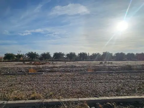 Terreno en Venta de 320,0 m2