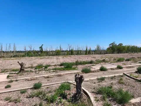 VENTA LOTE 800 M2 B PRIVADO VISTALBA