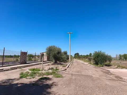 Terreno en Venta de 800,0 m2