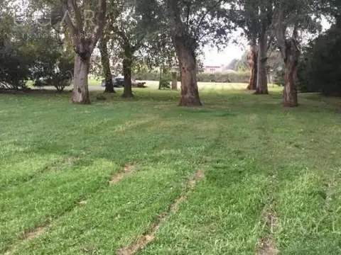 Terreno en Venta de 800,0 m2