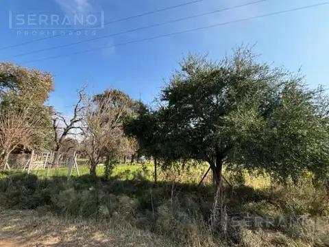 Terreno en Venta 37  mts Frente