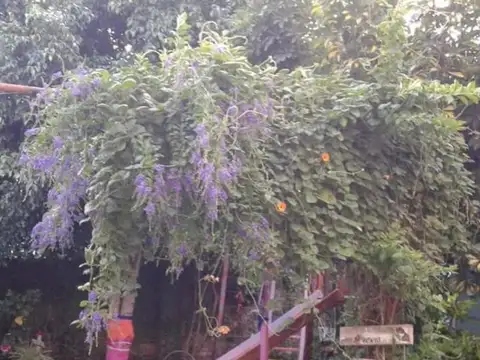 Casa en Venta 26 años