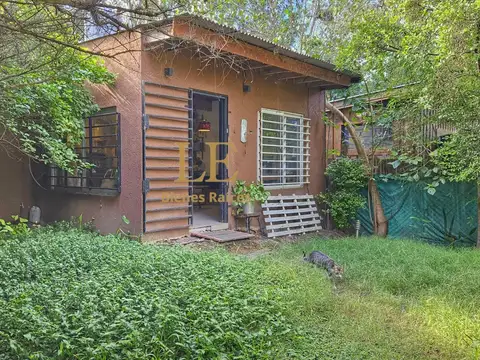 Tierra Del Fuego 780