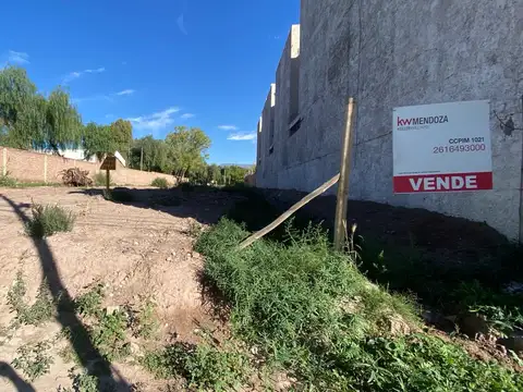 Terreno en Venta en Coronel Dorrego, USD 350.000