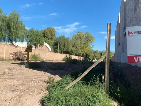 las cañas s/n