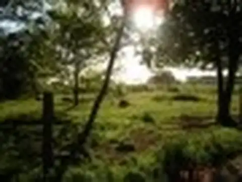 CAMPO CON CASA ANTIGUA. Zona de criadores de caballos de Polo.