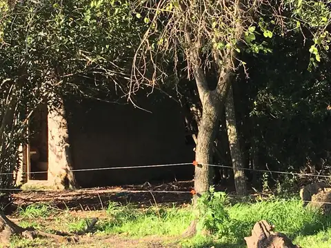 Campo en Venta con Alambrado