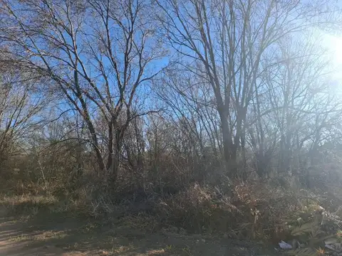 Se Venden tres Terreno en  San Roque
