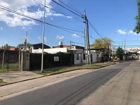 Pedro Medrano  1481