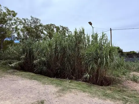 Terreno en Venta 20  mts Frente