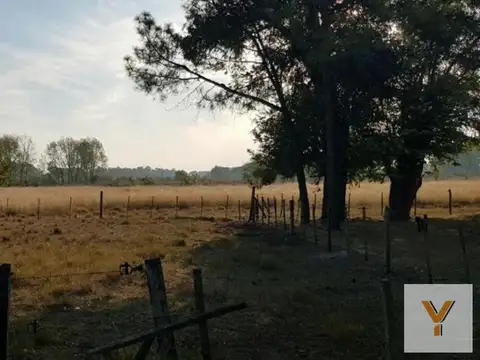 Campo en venta - 80.000Mts2 - 5 Dormitorios 3 Baños - Cocheras - Lomas de Fátima