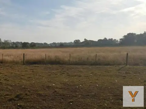 Campo en venta - 80.000Mts2 - 5 Dormitorios 3 Baños - Cocheras - Lomas de Fátima