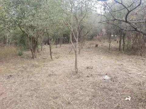 Terreno en Venta en Villa Cerro Azul, USD 9.000