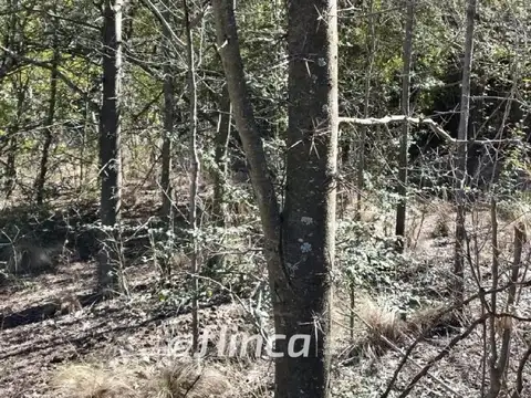 Terreno en Venta en Nono, USD 103.000