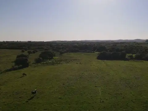 camino vecinal corte de la leña