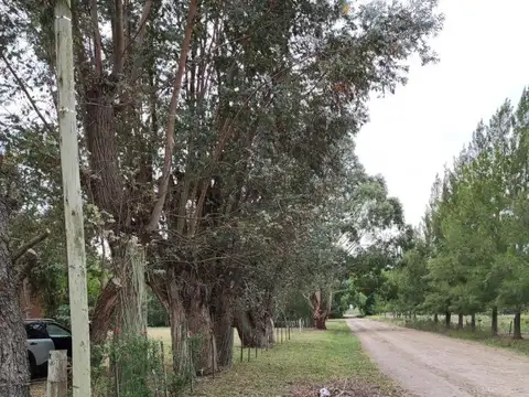 Quinta en Venta en La Plata, USD 110.000