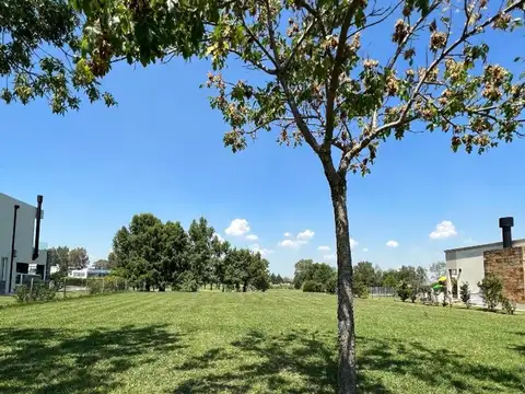 Terreno en Venta 25  mts Frente