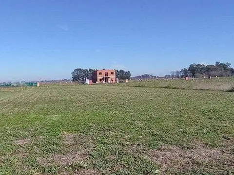 Terreno en Venta de 800,0 m2