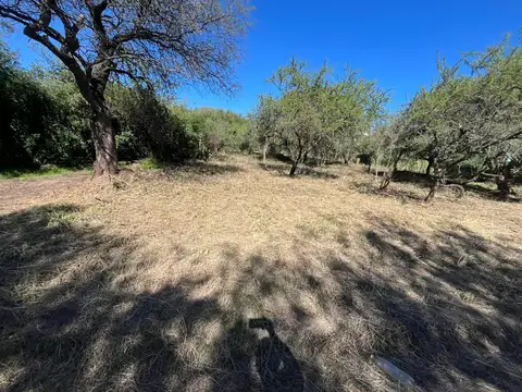 Terreno en Venta de 2521,0 m2